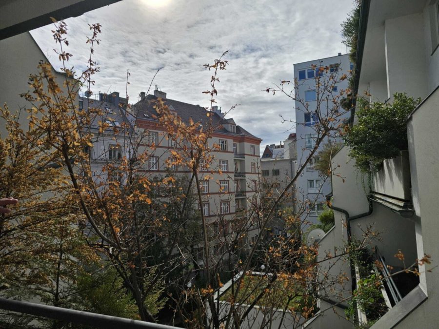 Erstbezug nach Generalsanierung - Eigentumswohnung auf einer Ebene mit Terrasse - Gegenüber Sofiensäle - Blick von Terrasse