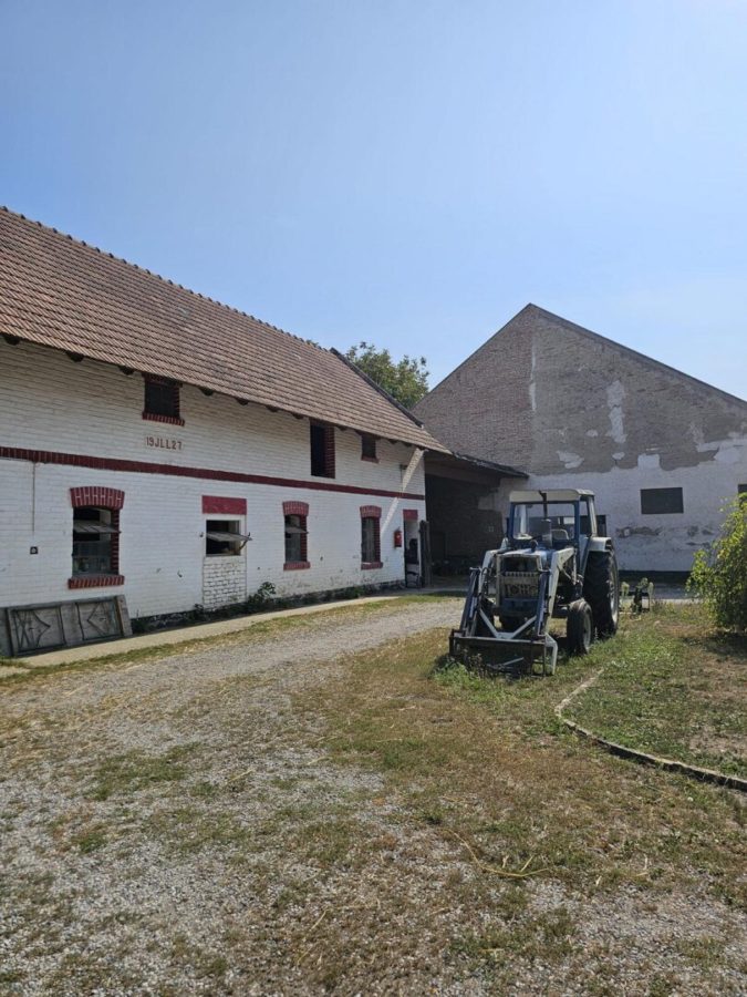 Haus mit Pferdestallungen in absoluter Grünruhelage Nähe Groß-Enzersdorf - Auch für Bauträger geeignet. - Bild