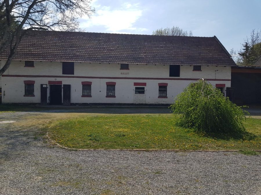 Haus mit Pferdestallungen in absoluter Grünruhelage Nähe Groß-Enzersdorf - Auch für Bauträger geeignet. - Bild