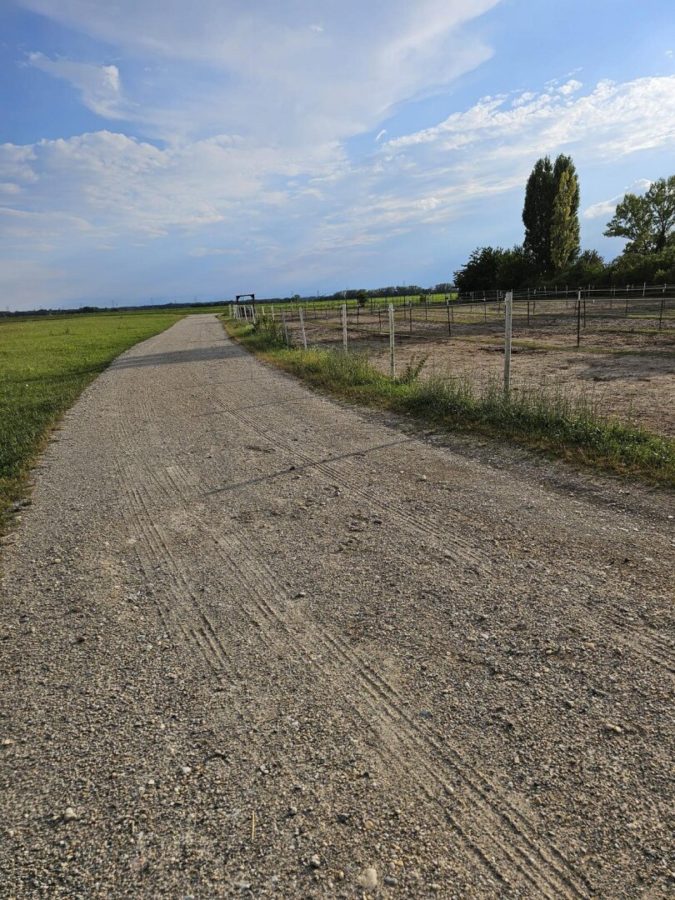 Haus mit Pferdestallungen in absoluter Grünruhelage Nähe Groß-Enzersdorf - Auch für Bauträger geeignet. - Bild