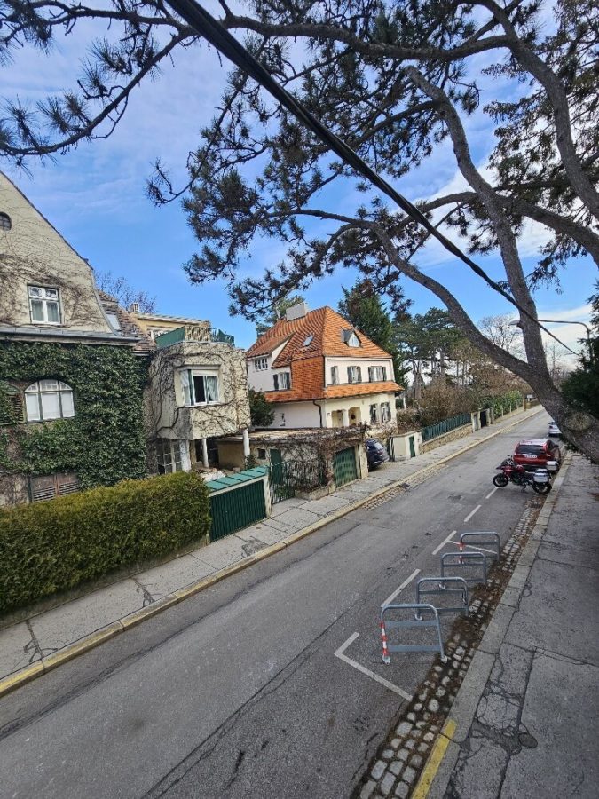 Schöne Altbauwohnung mit Terrasse und Gartenmitbenützung nähe Pötzleinsdorfer Schlosspark - Bild