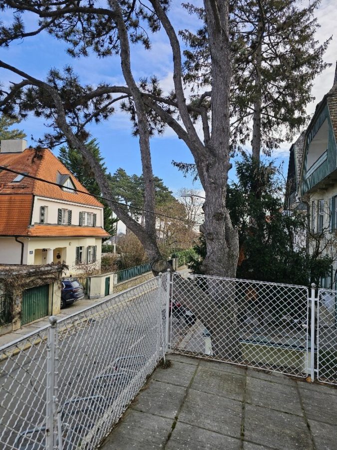 Schöne Altbauwohnung mit Terrasse und Gartenmitbenützung nähe Pötzleinsdorfer Schlosspark - Bild