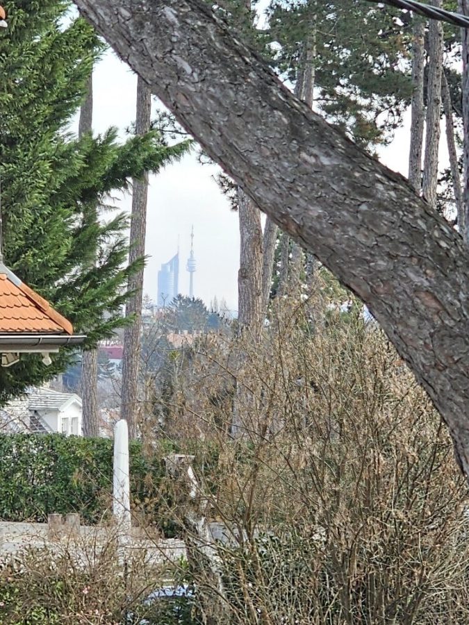 Schöne Altbauwohnung mit Terrasse und Gartenmitbenützung nähe Pötzleinsdorfer Schlosspark - Bild