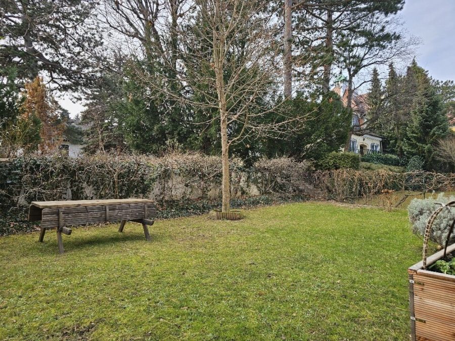 Schöne Altbauwohnung mit Terrasse und Gartenmitbenützung nähe Pötzleinsdorfer Schlosspark - Bild